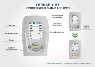 СКЭНАР-1-НТ (исполнение 01)  в Кропоткине купить Медицинская техника - denasosteo.ru 